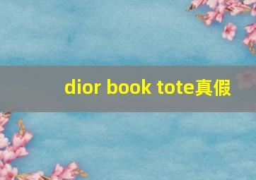 dior book tote真假